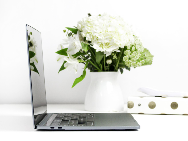 Laptop mit Pflanze - Pinterest Sperre wegen Spam