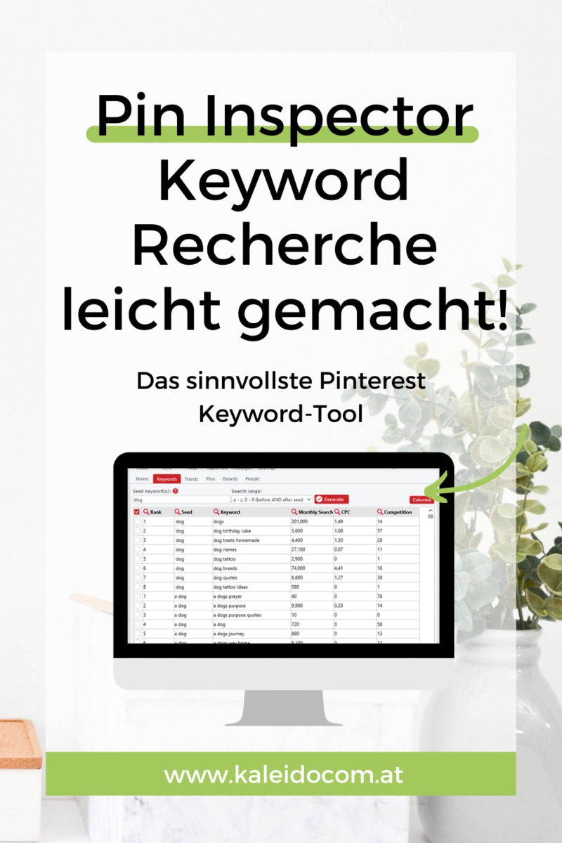 Pinterest Keyword-Tool für schnelle Recherchen 5